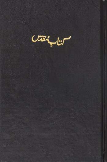 Urdu Biblia_400